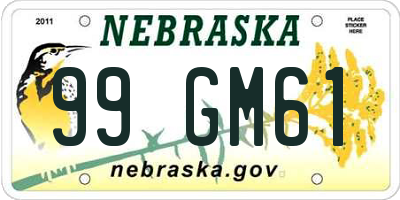 NE license plate 99GM61