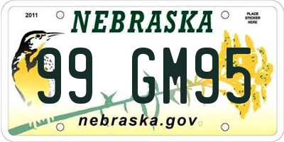 NE license plate 99GM95