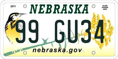 NE license plate 99GU34