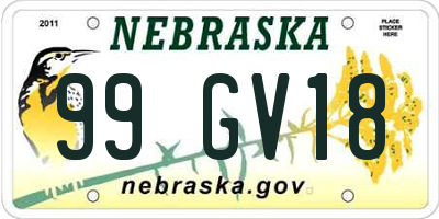 NE license plate 99GV18