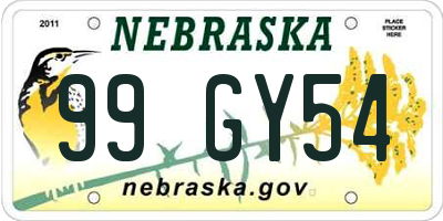 NE license plate 99GY54