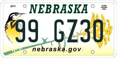 NE license plate 99GZ30