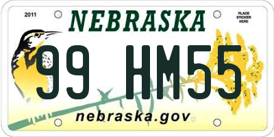 NE license plate 99HM55