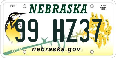 NE license plate 99HZ37