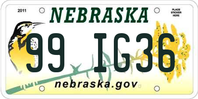 NE license plate 99IG36