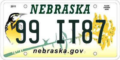 NE license plate 99IT87