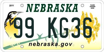 NE license plate 99KG36