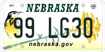 NE license plate 99LG30