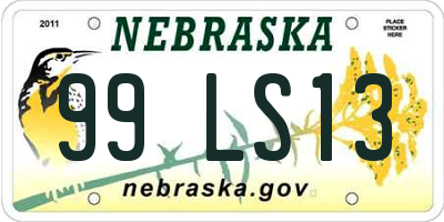 NE license plate 99LS13