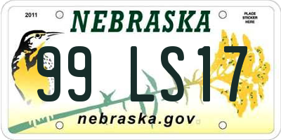 NE license plate 99LS17