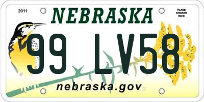 NE license plate 99LV58