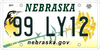 NE license plate 99LY12