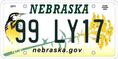 NE license plate 99LY17