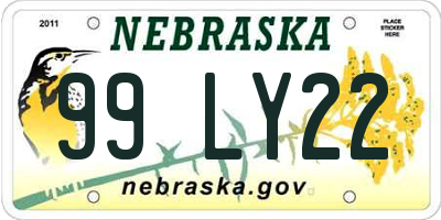 NE license plate 99LY22