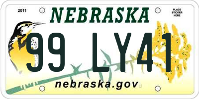 NE license plate 99LY41