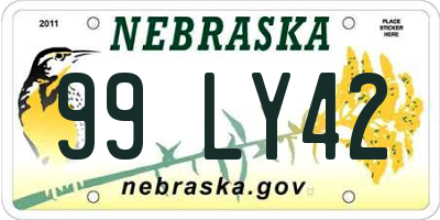 NE license plate 99LY42