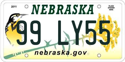 NE license plate 99LY55