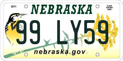 NE license plate 99LY59