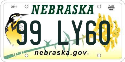 NE license plate 99LY60