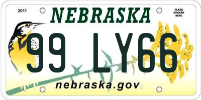 NE license plate 99LY66