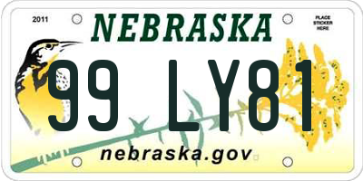 NE license plate 99LY81