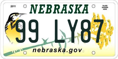 NE license plate 99LY87