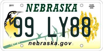 NE license plate 99LY88