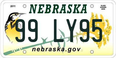 NE license plate 99LY95