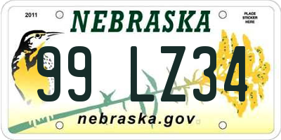 NE license plate 99LZ34