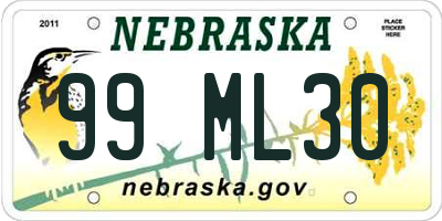 NE license plate 99ML30