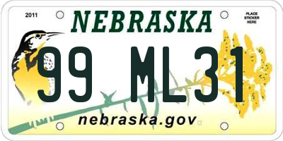 NE license plate 99ML31
