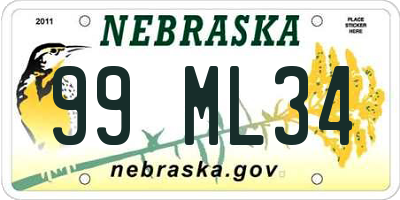 NE license plate 99ML34