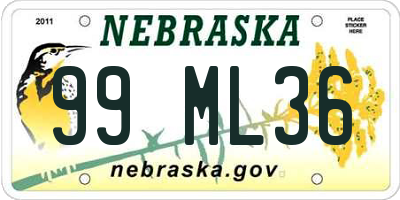 NE license plate 99ML36