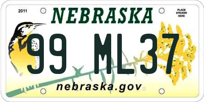 NE license plate 99ML37