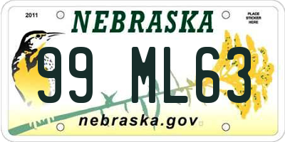 NE license plate 99ML63