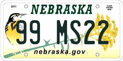 NE license plate 99MS22