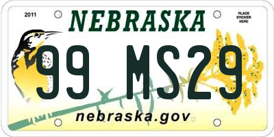 NE license plate 99MS29