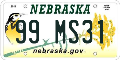 NE license plate 99MS31