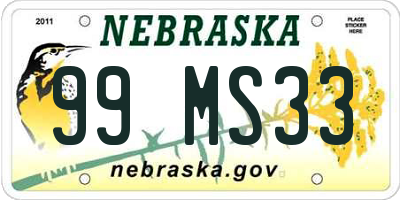 NE license plate 99MS33