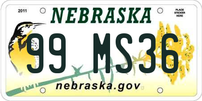 NE license plate 99MS36