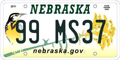 NE license plate 99MS37