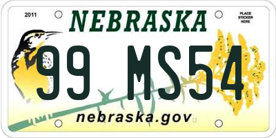 NE license plate 99MS54