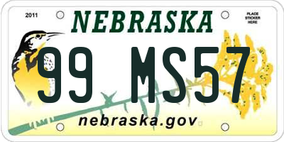 NE license plate 99MS57