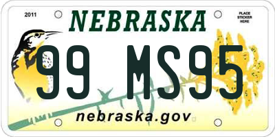 NE license plate 99MS95