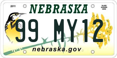 NE license plate 99MY12