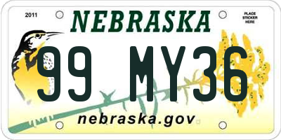 NE license plate 99MY36