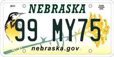 NE license plate 99MY75