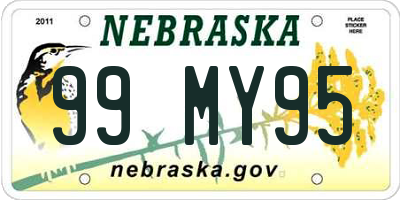 NE license plate 99MY95