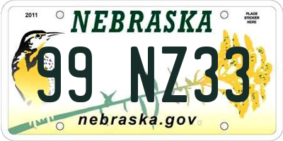 NE license plate 99NZ33