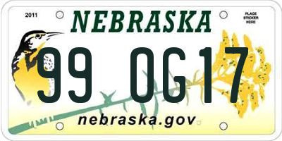 NE license plate 99OG17